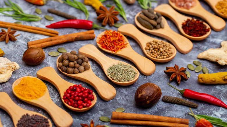 Different spices presented in wooden spoons