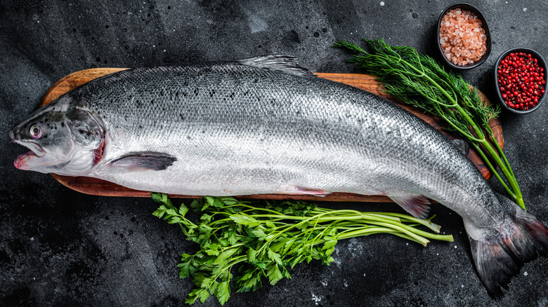 raw whole sea salmon with spices and herbs