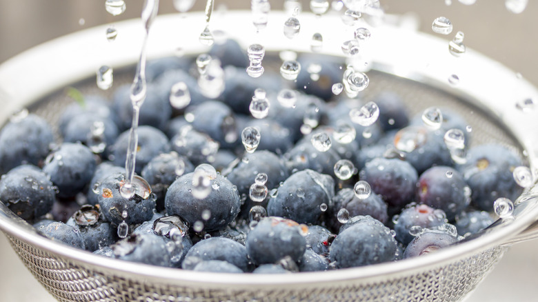 Blueberries being rinsed with water in a colander