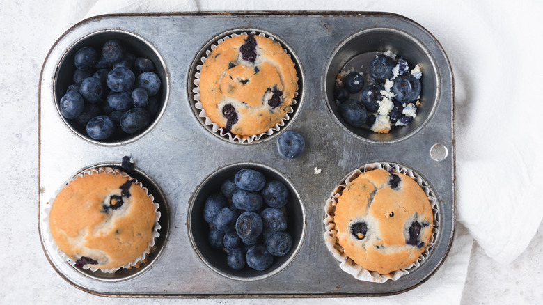 Muffin tray of blueberry muffins and fresh blueberries