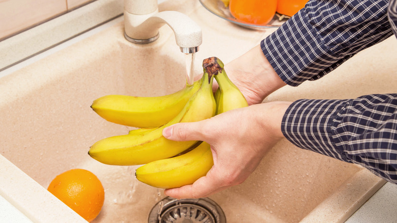 Person washing bananas