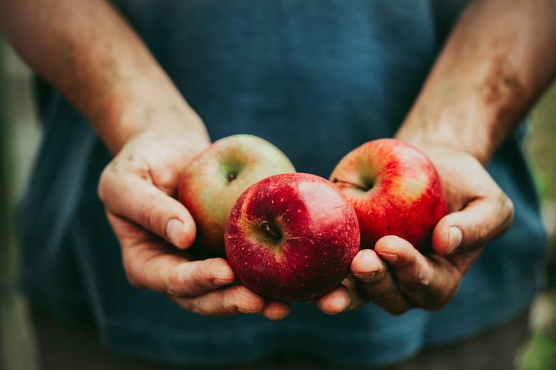 Why You Should Eat an Apple a Day, According to Science