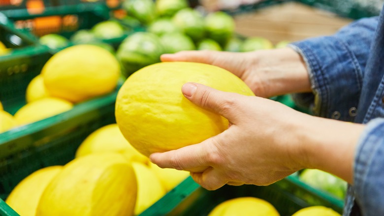 hands holding honeydew melon