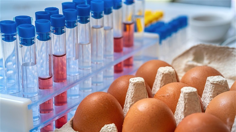 Brown eggs alongside test tubes