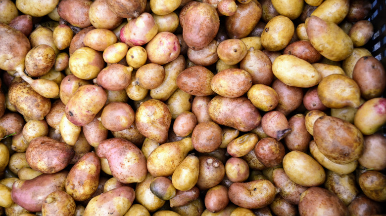 pile of whole raw potatoes