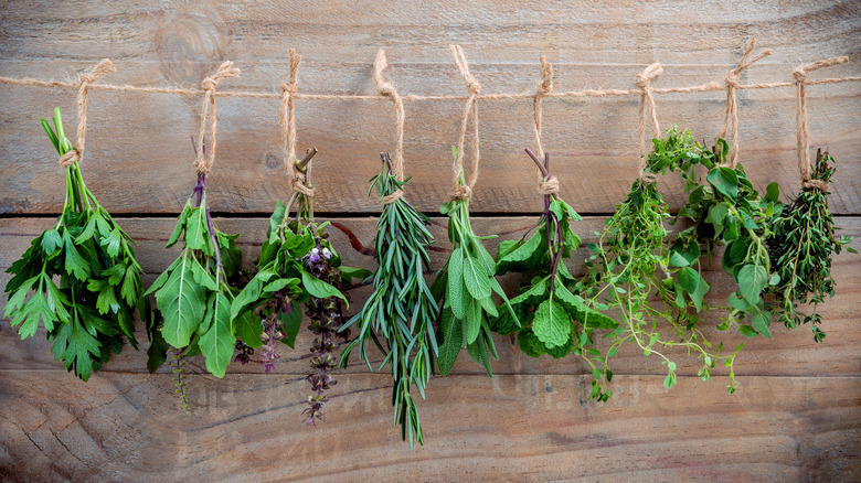 Fresh herbs hang drying from twine 