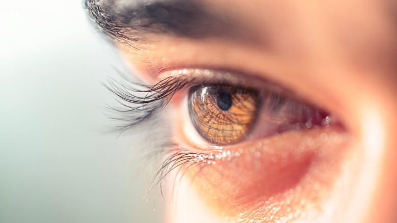 close-up of a human eye