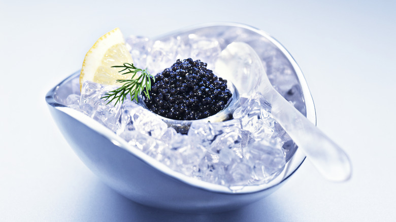 Iced caviar with spoon