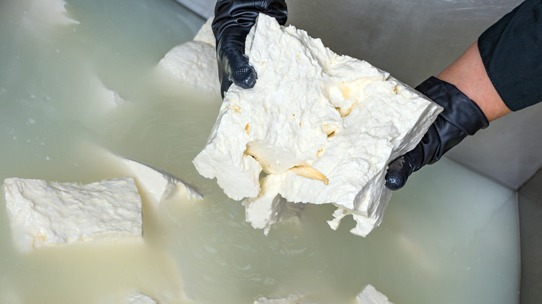 Cheesemaker brining feta