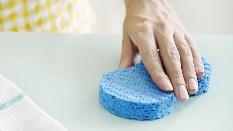 hand holding a kitchen sponge