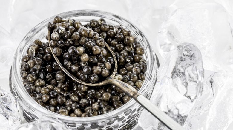 Caviar on ice