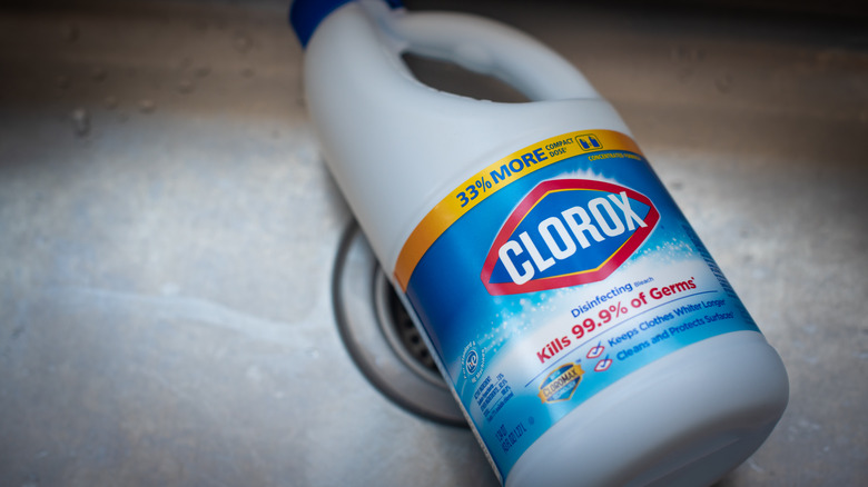 Clorox bleach bottle in sink