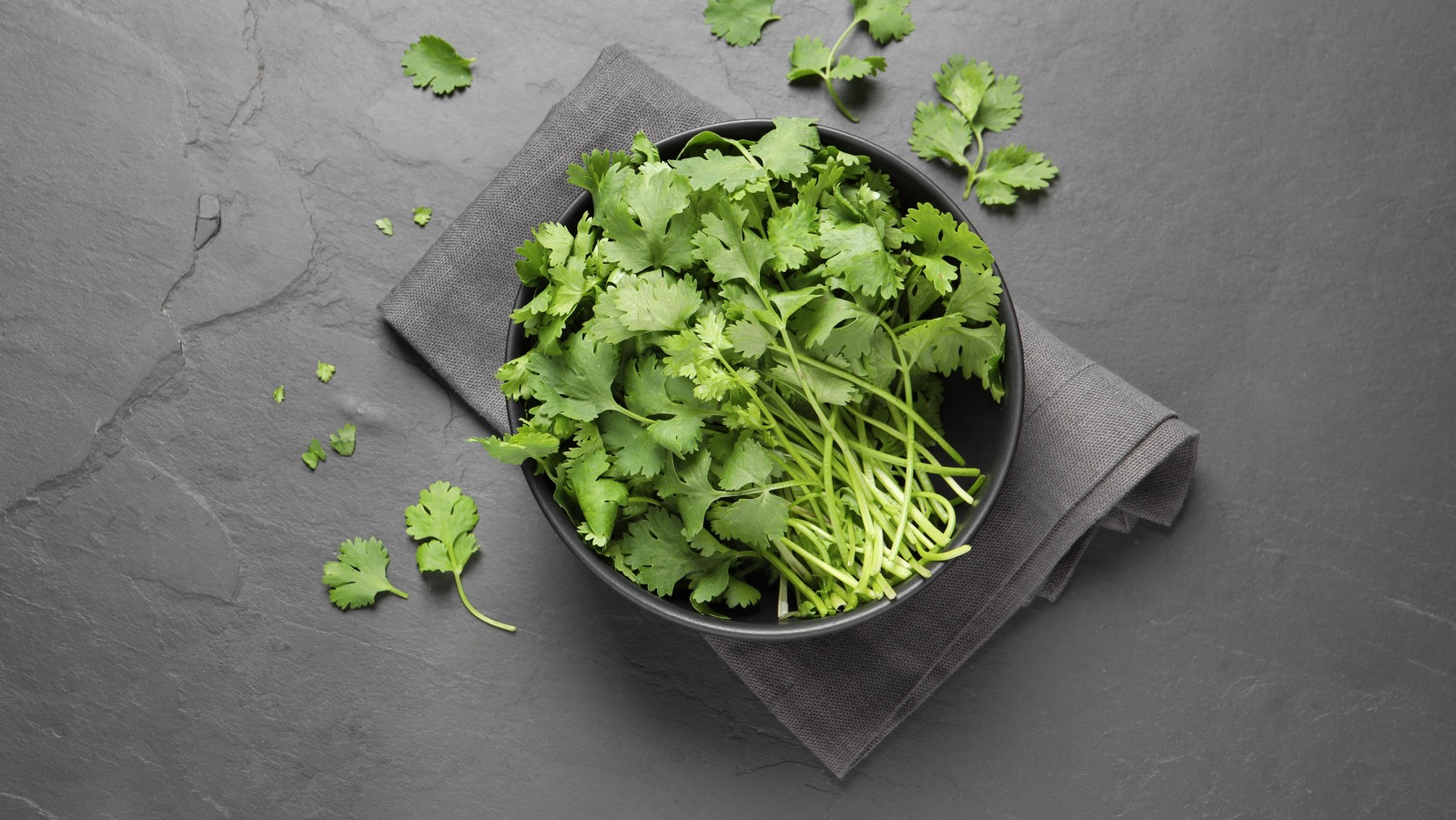 A pizza cutter works really well for cilantro or similar herbs