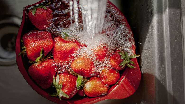 Washing strawberries in colander 