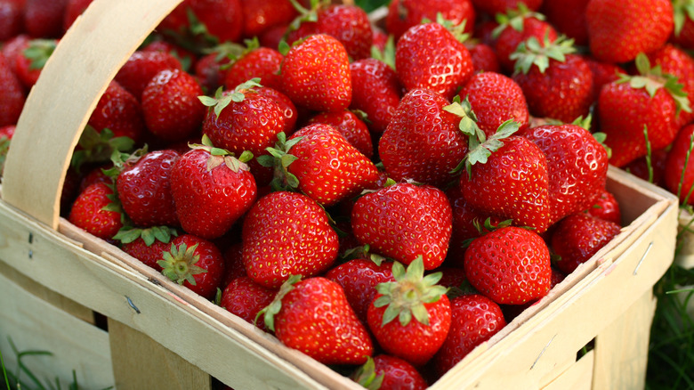 Strawberries in a basket