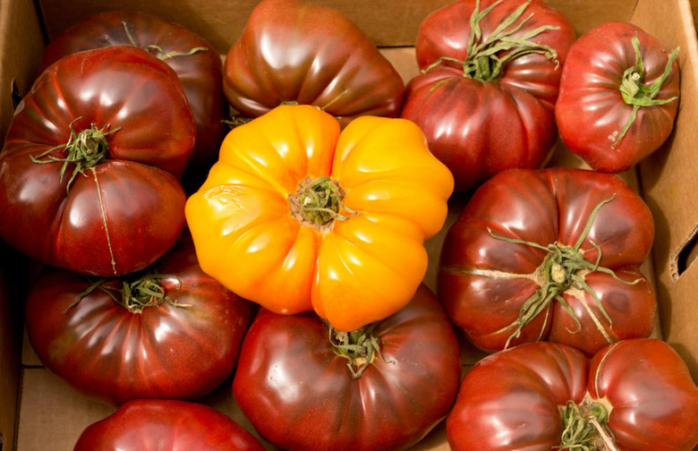 Heirloom Tomatoes