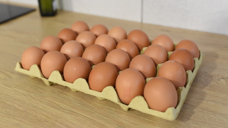 Carton of two dozen eggs