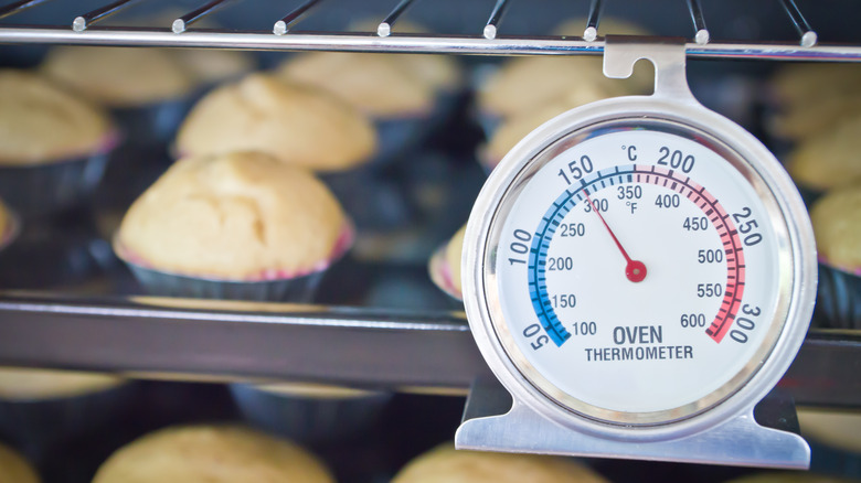 Oven thermometer in baking oven