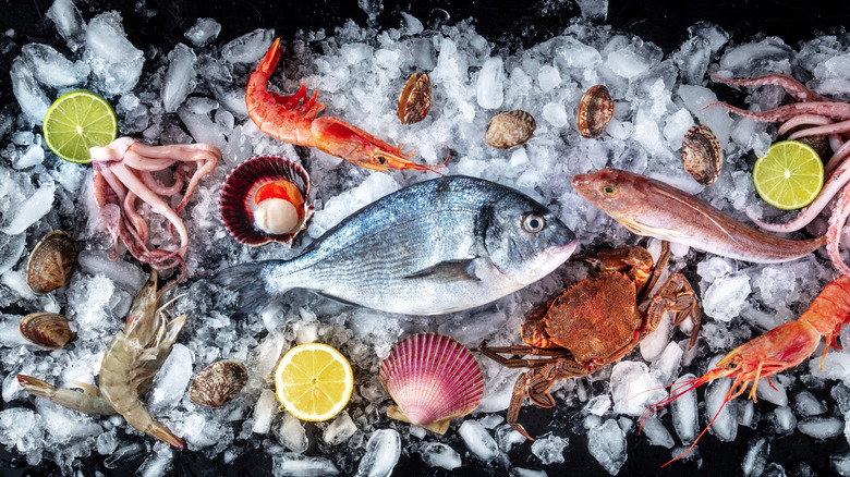 Various seafoods on ice with dark background