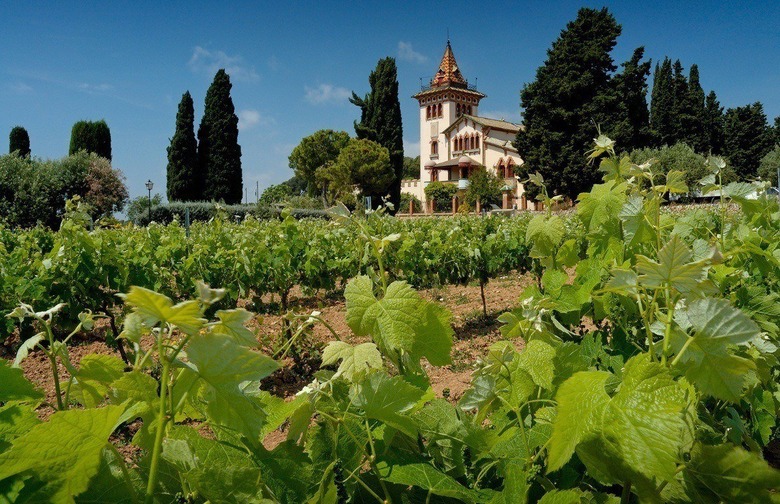 International Tempranillo Day, second Thursday in November (November 12 in 2017)