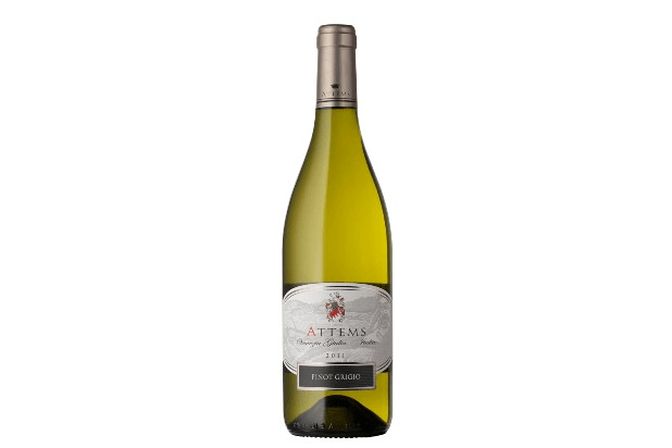 Attems Pinot Grigio 2011, $19