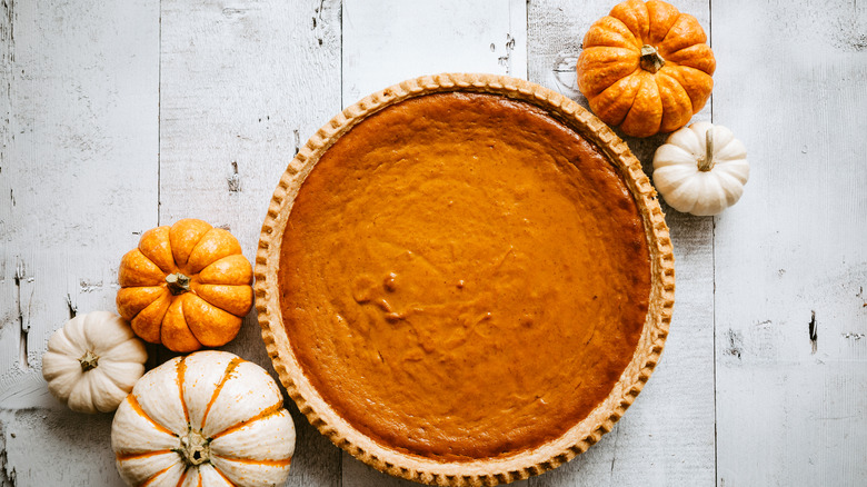 whole pumpkin pie