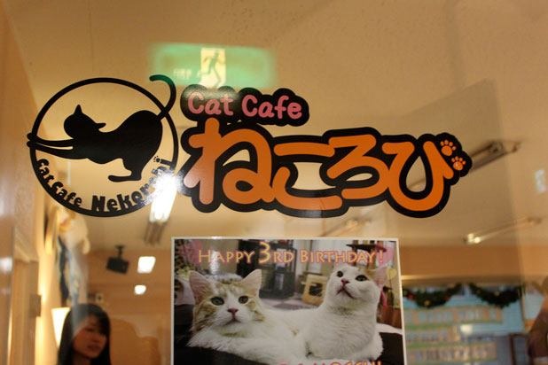 Nekorobi Cat Café (Japan)