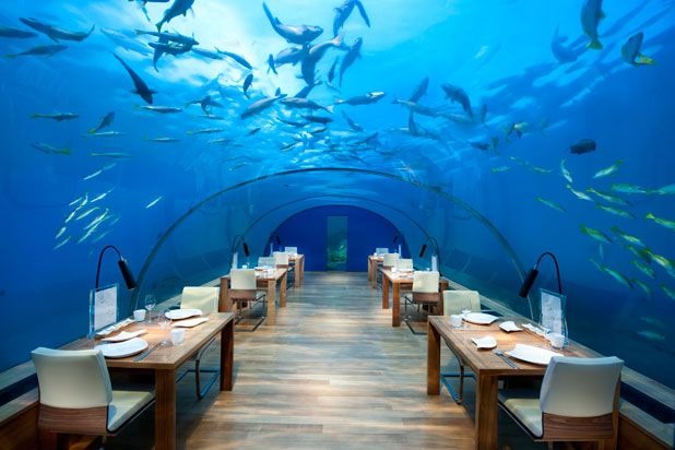 Ithaa Undersea Restaurant (Maldives)