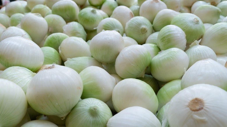 pile of white onions