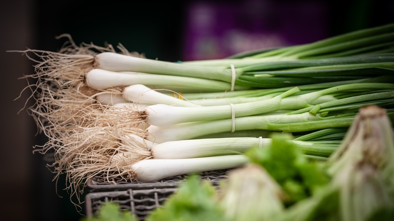 bunches of scallions