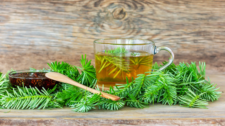 glass cup full of team made with pine needles