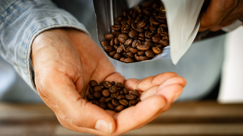 pouring out coffee beans into hand