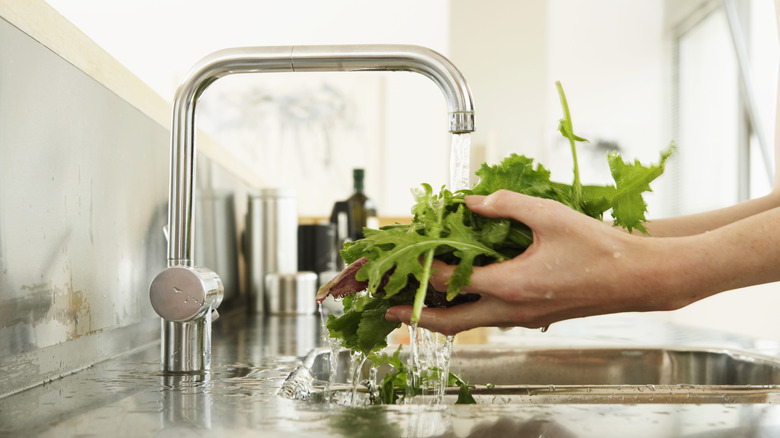 washing greens under running water