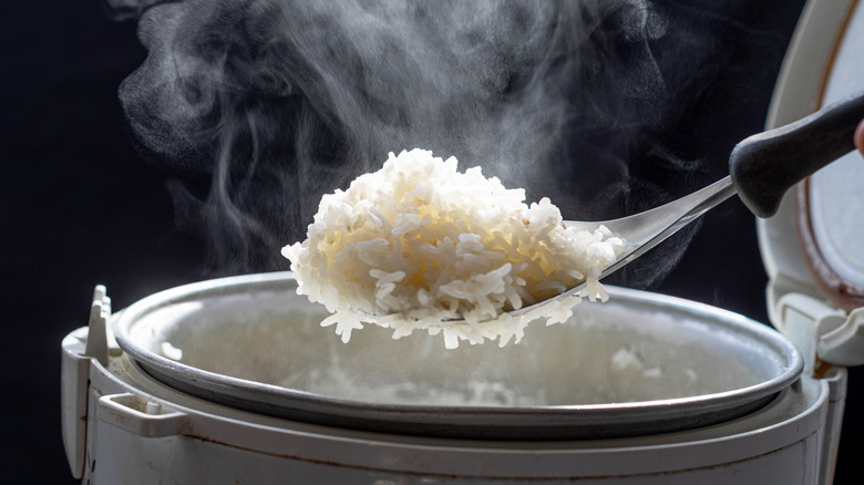 spoon of steamed jasmine rice and cooker