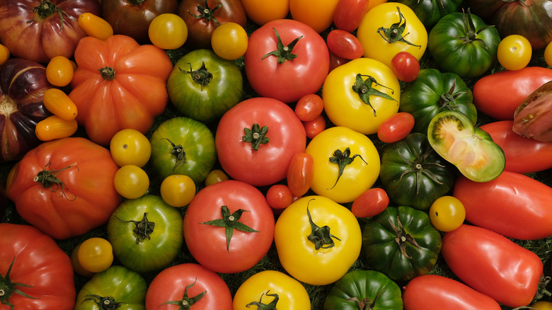 Varieties of tomatoes