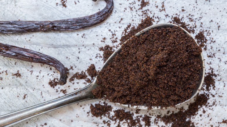 Vanilla beans and powder on a spoon