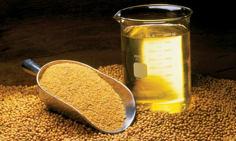 soybean oil