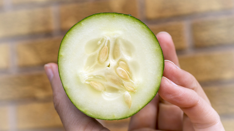 Hand holding sliced cucumber 