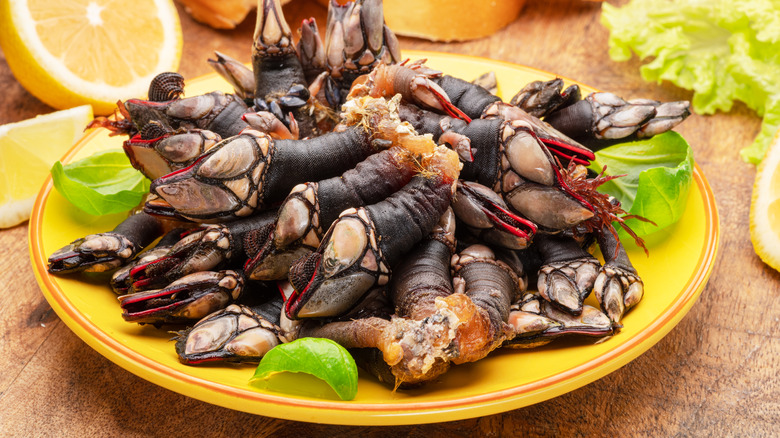 A plate of percebes 