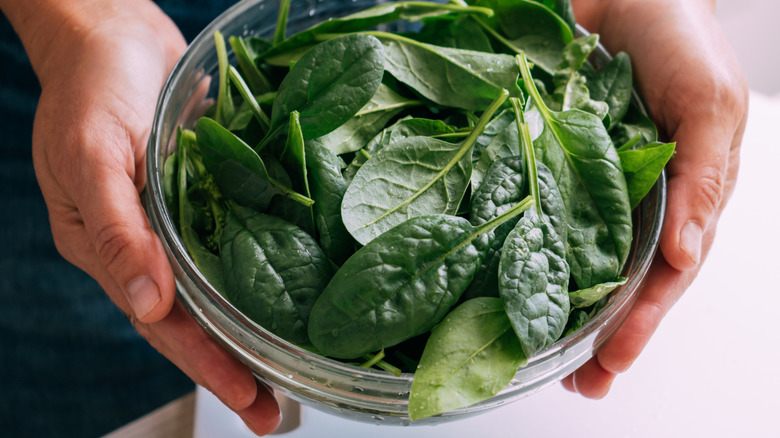 Bowl of fresh spinach