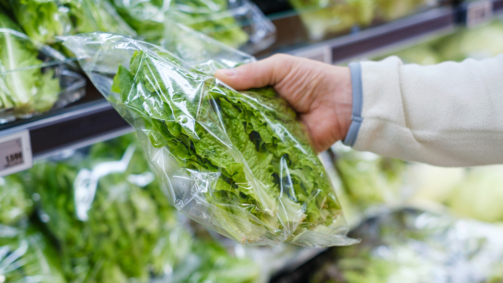 You Should Actually Think Twice Before Washing Pre-Washed Lettuce