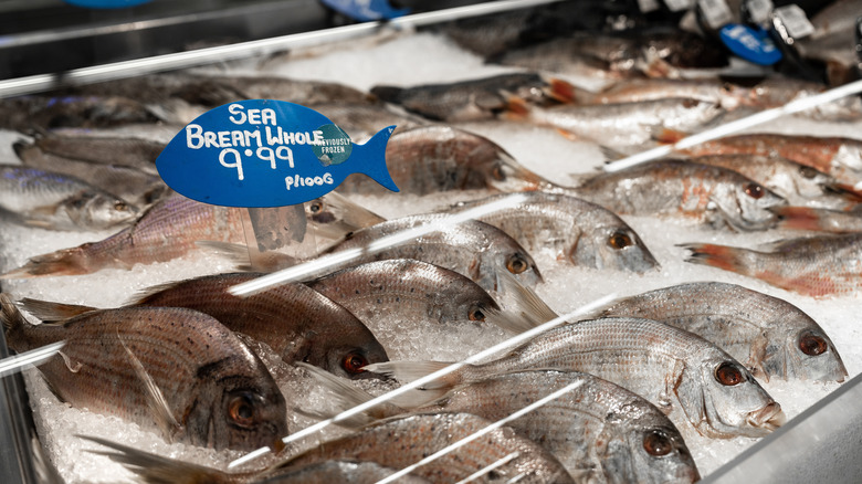 whole sea bream on ice