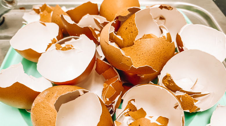 eggshells in kitchen sink 