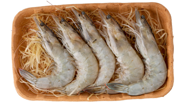 Fresh whole shrimp on platter
