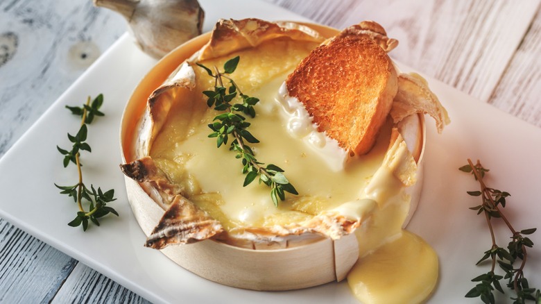 melted camembert cheese served on plate