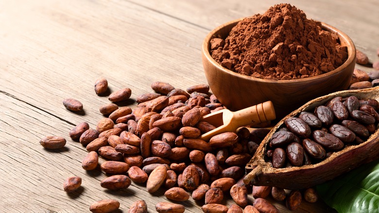 Cocoa powder and beans