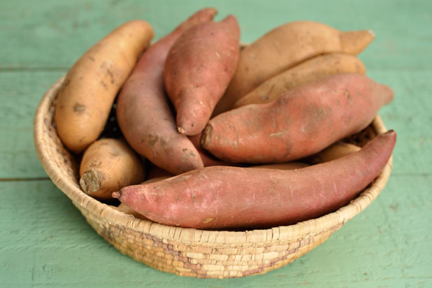 Sweet Potato