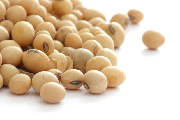 Soy Beans