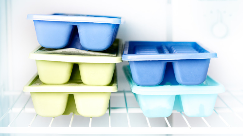 ice cube trays in a freezer