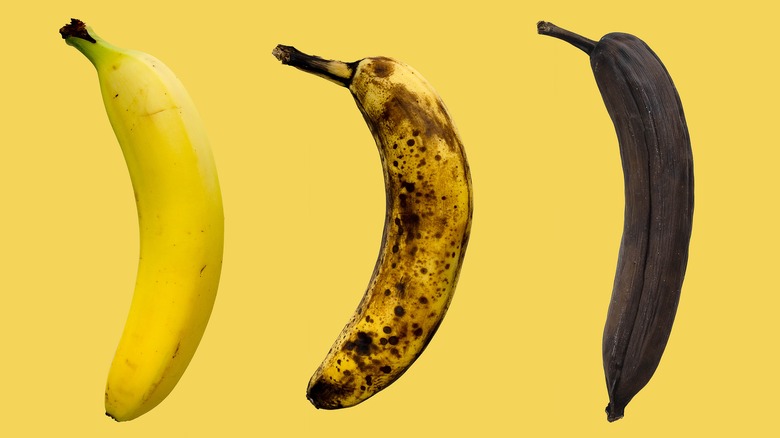 Three bananas at different stages of ripeness: one is yellow and ripe, one is ripe with a lot of brown bruises, and one is overripe and is completely dark brown